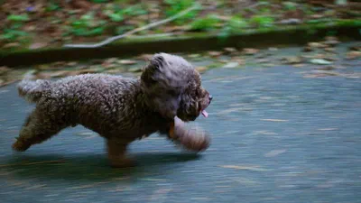 Welcome to Hugo Blox Builder, the website builder for Hugo featured image